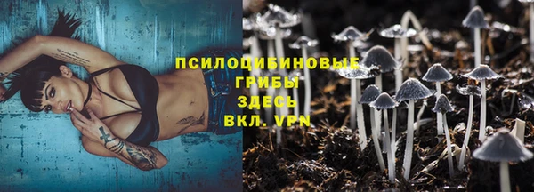 прущие грибы Алексин