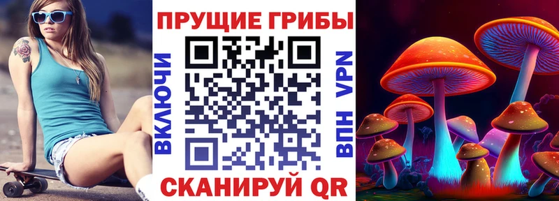 Псилоцибиновые грибы Psilocybe  купить закладку  Цимлянск 